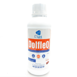 DolfleQ